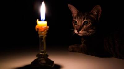 Top fire safety tips for pets and people