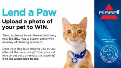 The best of Lend a Paw, May 2014