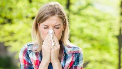 16 simple steps to an allergy-proof home!