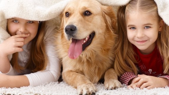 Pet related chores for children: how young is too young?